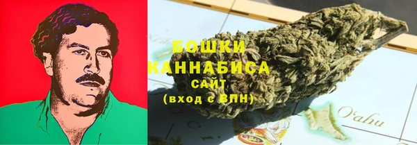 крисы Богородицк