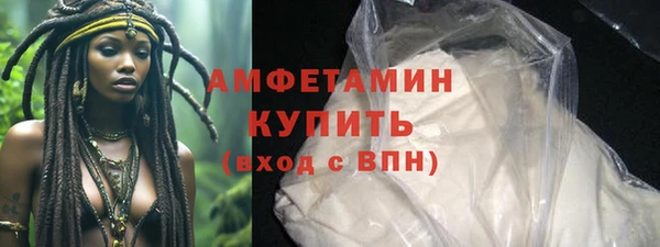 крисы Богородицк