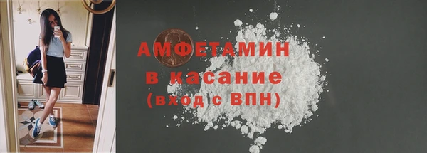 крисы Богородицк