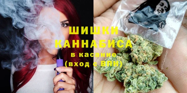 PSILOCYBIN Богданович
