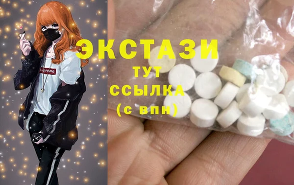 крисы Богородицк
